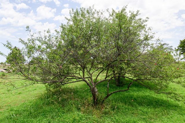 1383 N Peebly Road, Choctaw, OK 73020