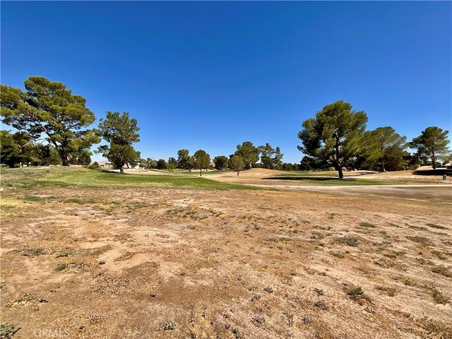 14913 Blue Grass, Helendale, CA 92342