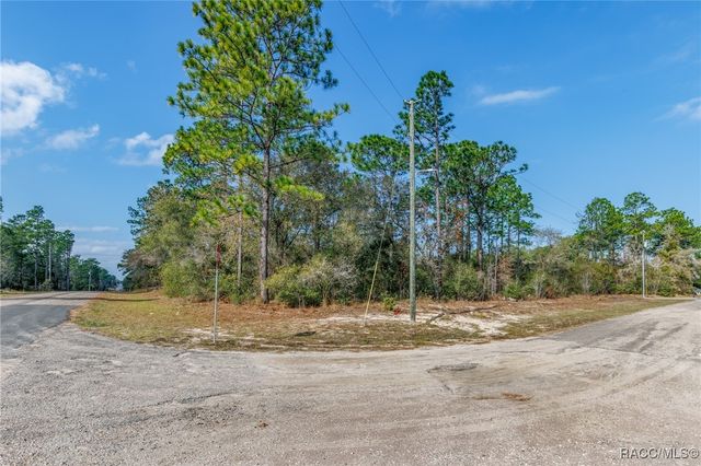 7082 N Treehaven Terrace, Citrus Springs, FL 34433