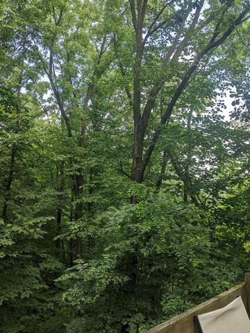 W344S10664 Island View LANE, Mukwonago, WI 53149