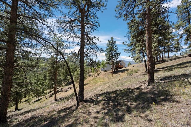 1729 Crow Valley Road, Bailey, CO 80421