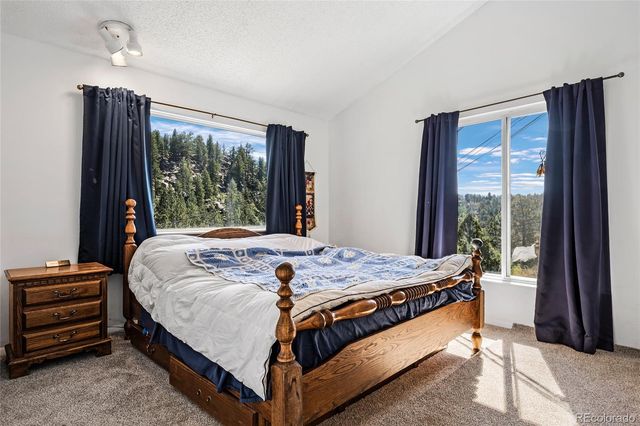 1729 Crow Valley Road, Bailey, CO 80421