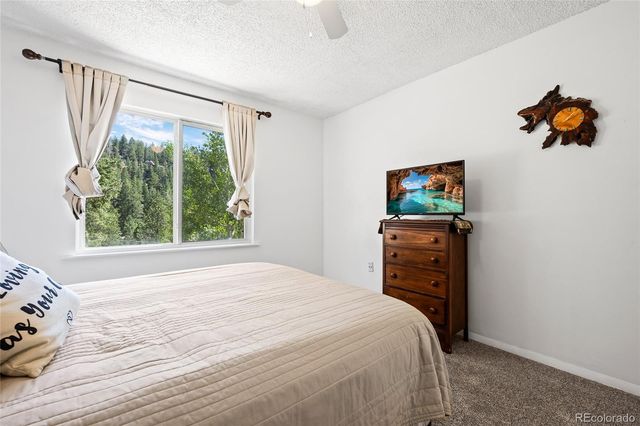 1729 Crow Valley Road, Bailey, CO 80421