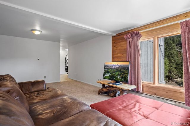 1729 Crow Valley Road, Bailey, CO 80421