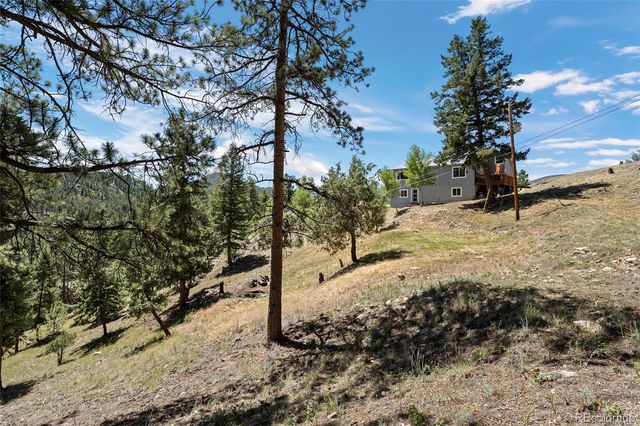1729 Crow Valley Road, Bailey, CO 80421