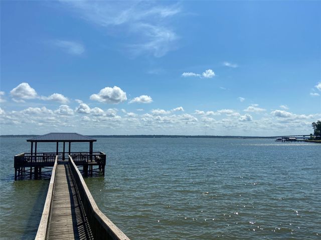 140 Lagoon Ct, Point Blank, TX 77364