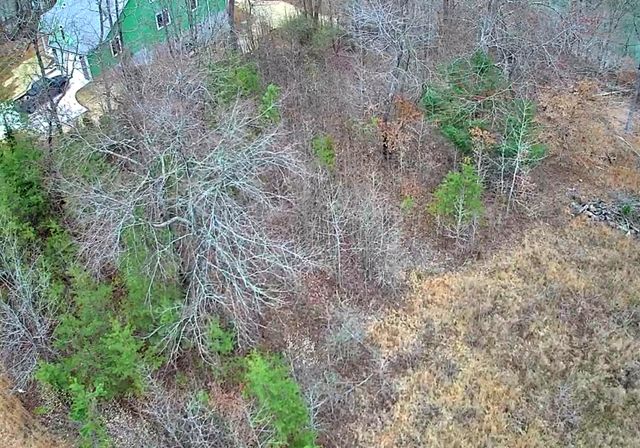 0 Spring Cove Lane 6, Spring City, TN 37381