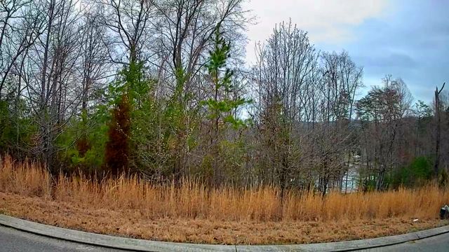 0 Spring Cove Lane 6, Spring City, TN 37381