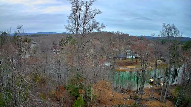 0 Spring Cove Lane 6, Spring City, TN 37381