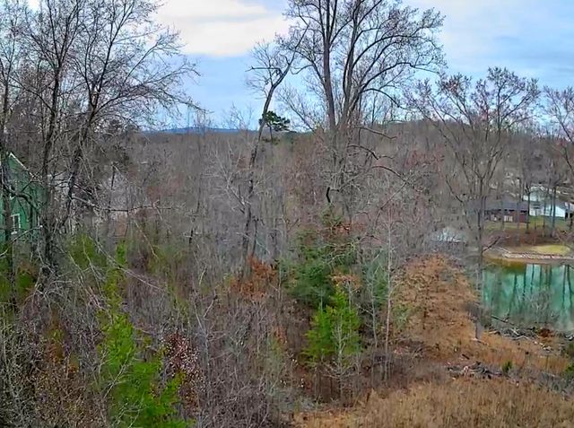 0 Spring Cove Lane 6, Spring City, TN 37381