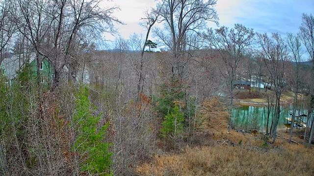 0 Spring Cove Lane 6, Spring City, TN 37381