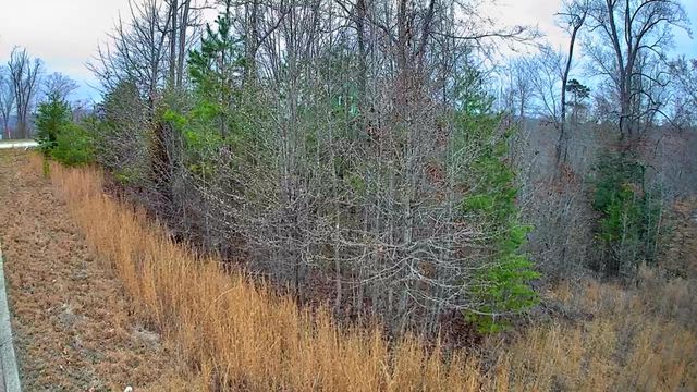 0 Spring Cove Lane 6, Spring City, TN 37381