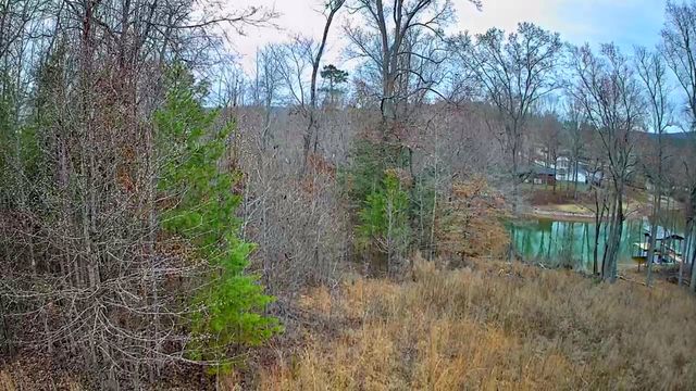 0 Spring Cove Lane 6, Spring City, TN 37381