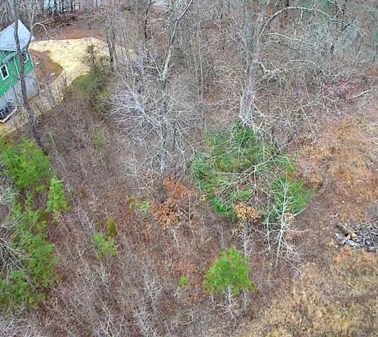 0 Spring Cove Lane 6, Spring City, TN 37381