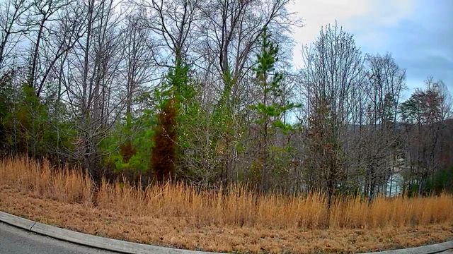 0 Spring Cove Lane 6, Spring City, TN 37381