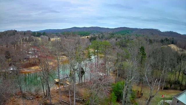 0 Spring Cove Lane 6, Spring City, TN 37381