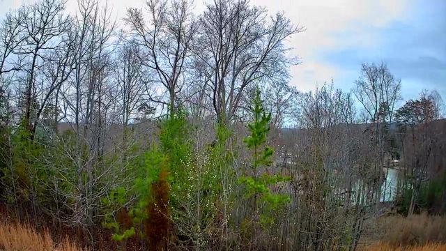 0 Spring Cove Lane 6, Spring City, TN 37381