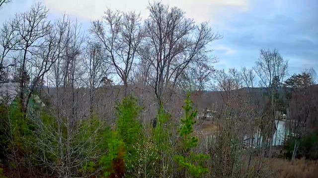 0 Spring Cove Lane 6, Spring City, TN 37381