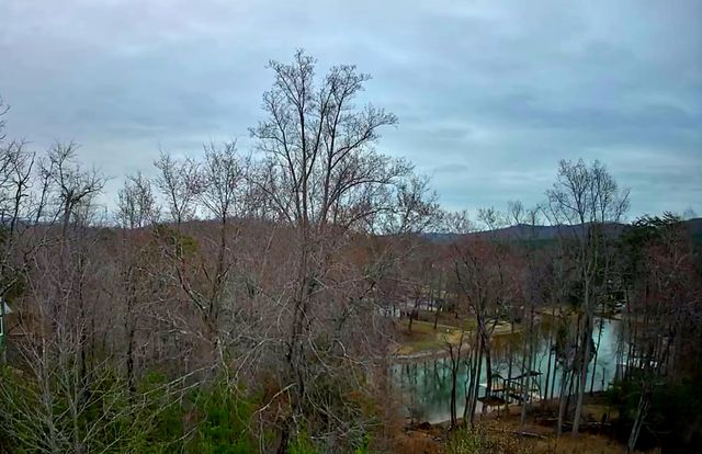 0 Spring Cove Lane 6, Spring City, TN 37381