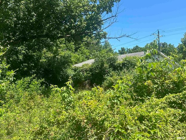 5672 Old Route 13 Road, Carterville, IL 62918