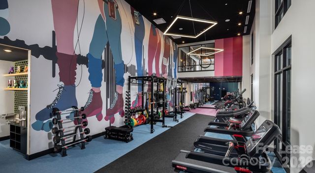 1015 N Alexander Street A0, Charlotte, NC 28206