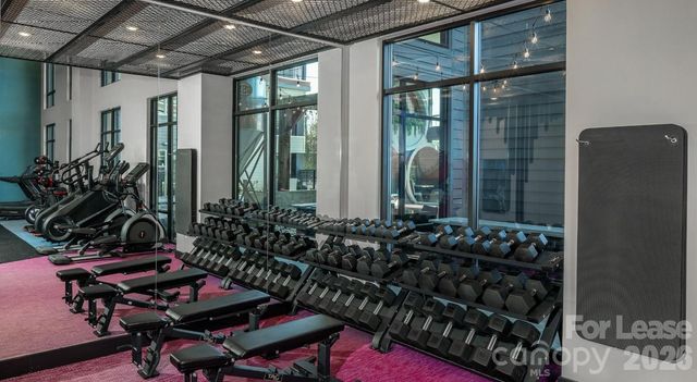 1015 N Alexander Street A0, Charlotte, NC 28206