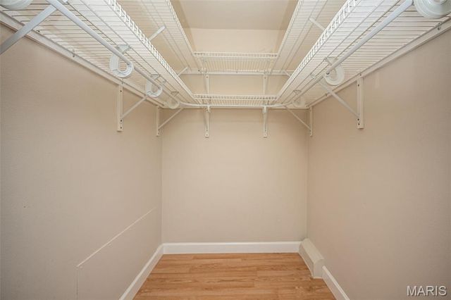 1 Delcrest Court 203, University City, MO 63124