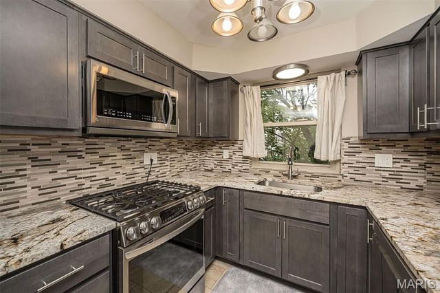 1 Delcrest Court 203, University City, MO 63124