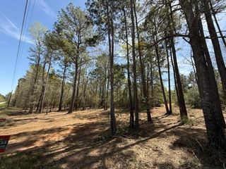 9724 Renfaire Drive, Plantersville, TX 77363