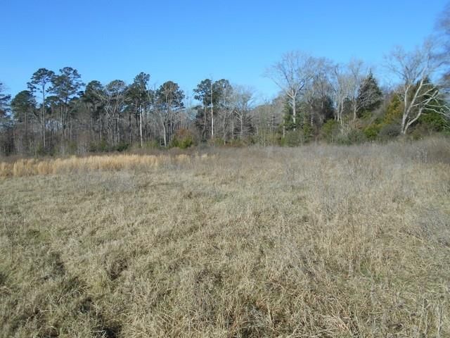 TBD Fm-2712, Crockett, TX 75835