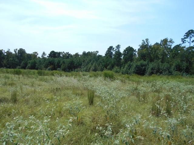 TBD Fm-2712, Crockett, TX 75835