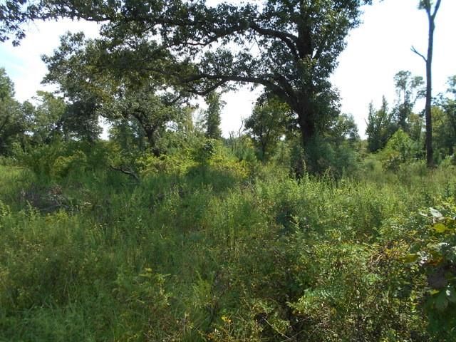 TBD Fm-2712, Crockett, TX 75835