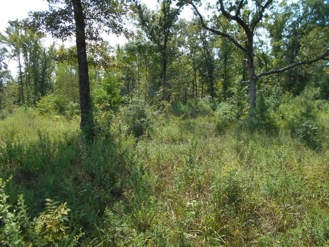 TBD Fm-2712, Crockett, TX 75835