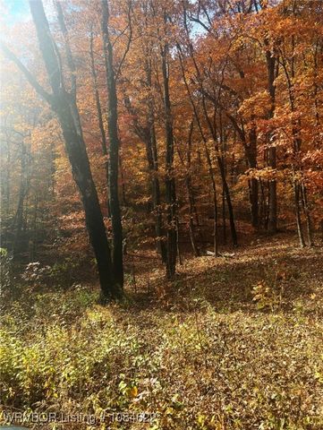 982 Whitetail, Van Buren, AR 72956