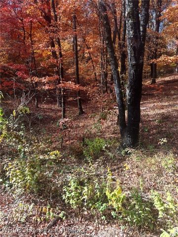 982 Whitetail, Van Buren, AR 72956