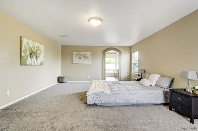 2317 Cactus Bloom Court, Castle Rock, CO 80109