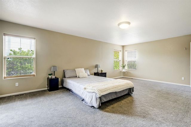 2317 Cactus Bloom Court, Castle Rock, CO 80109