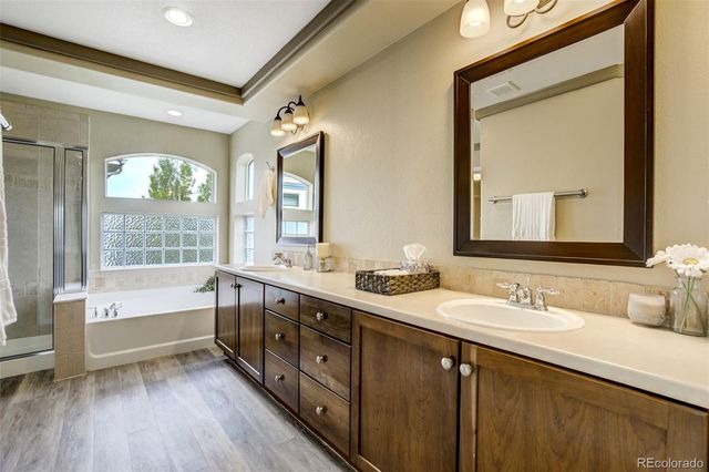 2317 Cactus Bloom Court, Castle Rock, CO 80109