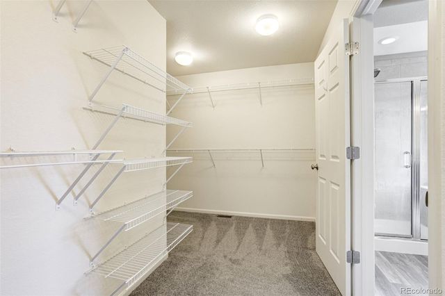2317 Cactus Bloom Court, Castle Rock, CO 80109