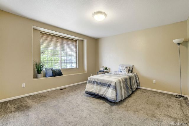 2317 Cactus Bloom Court, Castle Rock, CO 80109
