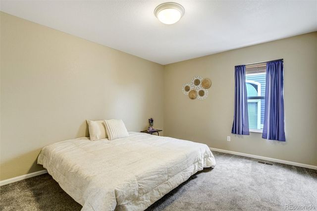 2317 Cactus Bloom Court, Castle Rock, CO 80109