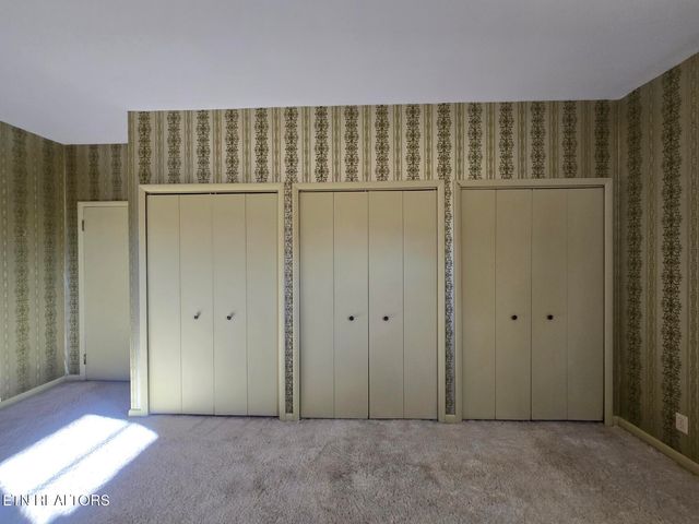 1733 knoxville Hwy, Wartburg, TN 37887