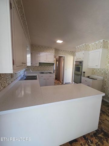 1733 knoxville Hwy, Wartburg, TN 37887