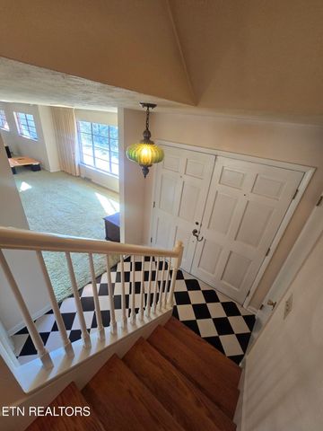 1733 knoxville Hwy, Wartburg, TN 37887