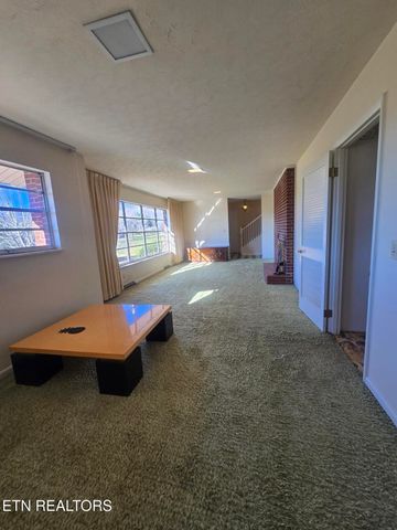 1733 knoxville Hwy, Wartburg, TN 37887