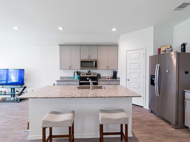 1317 Bison View Lane, Sealy, TX 77474