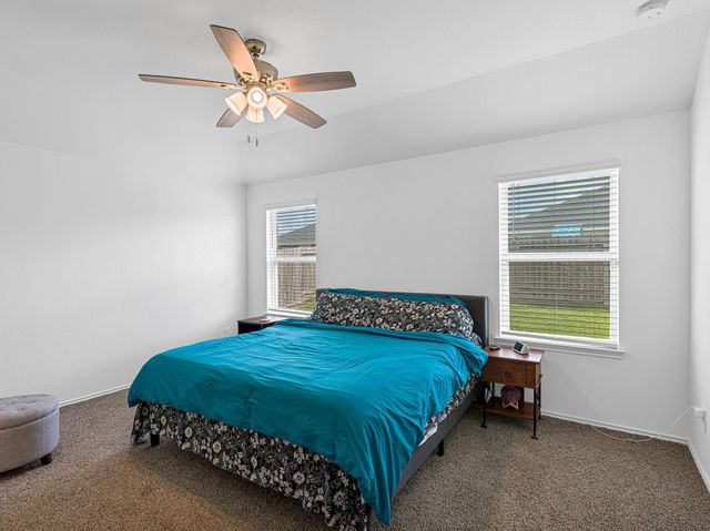 1317 Bison View Lane, Sealy, TX 77474