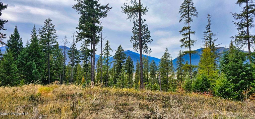 273 Smugglers LN, Bonners Ferry, ID 83805 photo 2