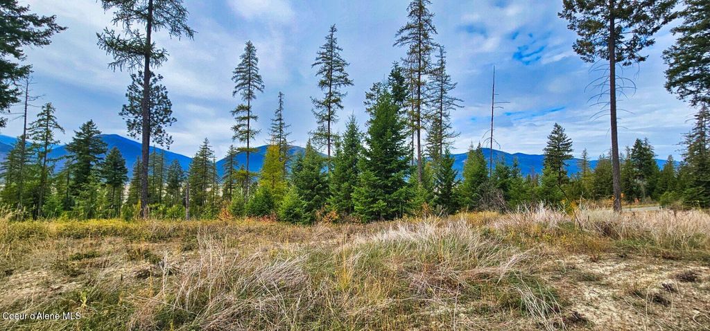273 Smugglers LN, Bonners Ferry, ID 83805 photo 4