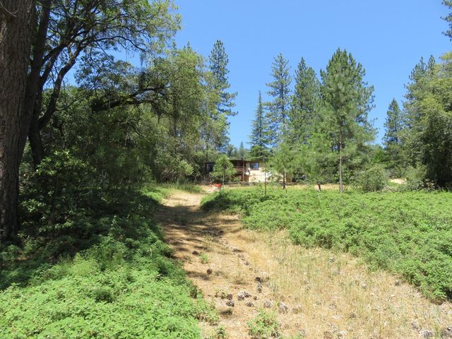 4426 Bald Mountain Road, West Point, CA 95255